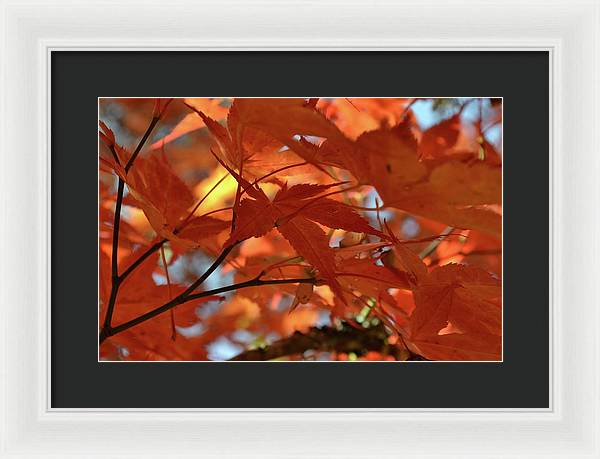 EarthWise Designs Autumn I - Framed Print