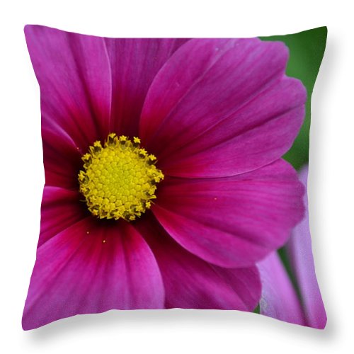 EarthWise Designs Cosmos I Throw Pillow Natural Linens