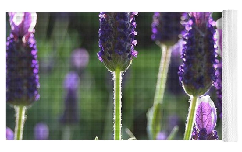 EarthWise Designs Lavender II Yoga Mat Natural Linens