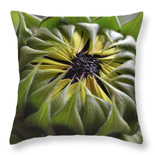 EarthWise Designs Sunflower III Throw Pillow Natural Linens