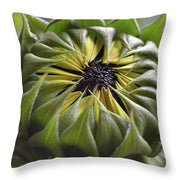 EarthWise Designs Sunflower III - Throw Pillow