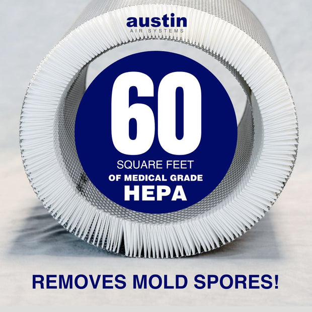 Austin Air Mold Recovery Home Bundle Large Size
