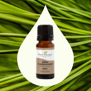 Plant Therapy Organic Atlas Cedarwood Essential Oil