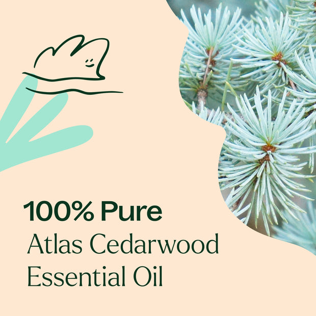 Plant Therapy Organic Atlas Cedarwood Essential Oil