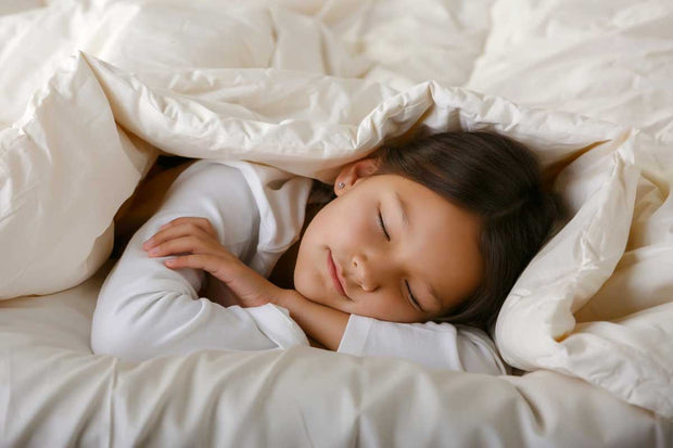 Sleep & Beyond myMerino Organic Merino Wool Comforter