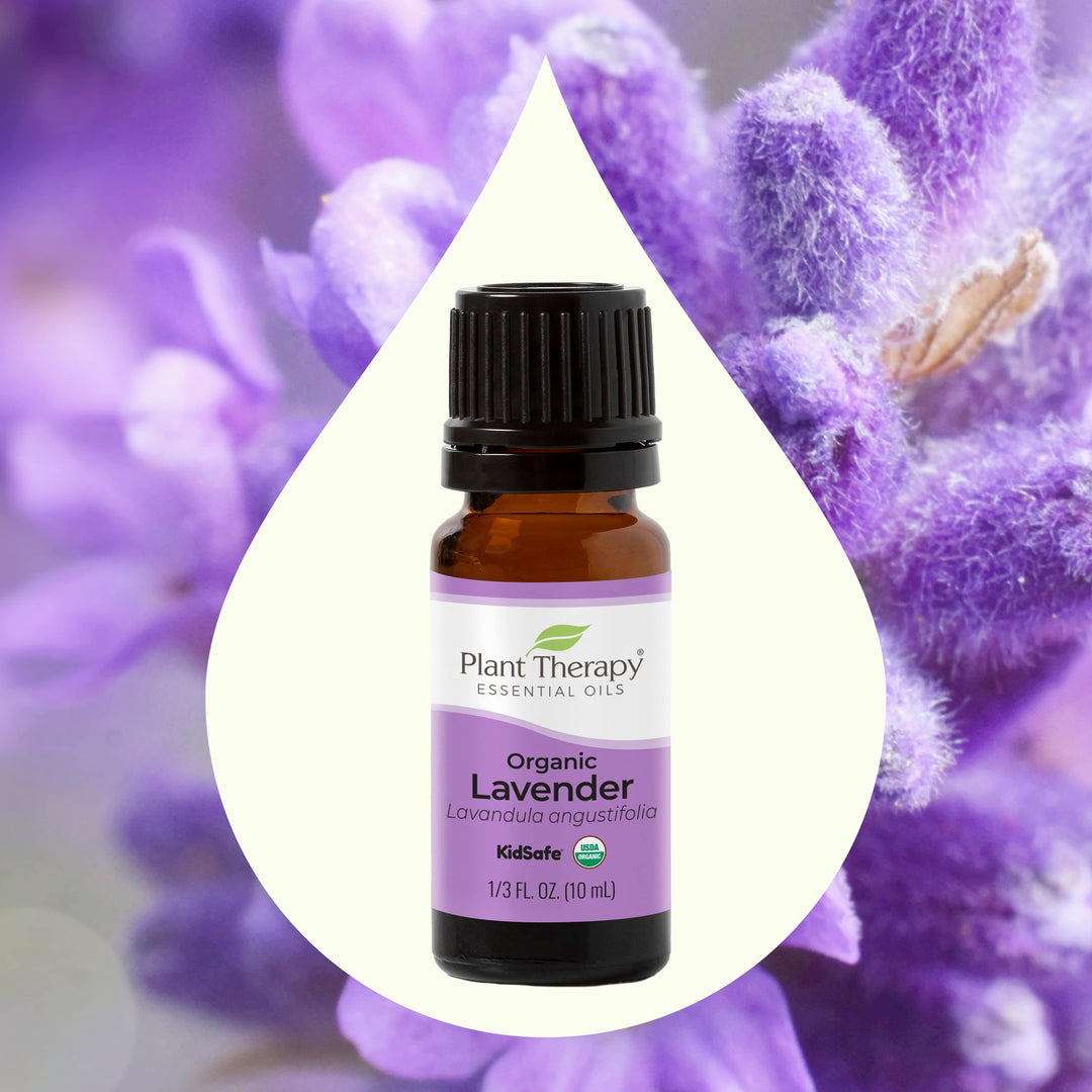 plant therapy lavender essential oil 100 pure Plant Therapy Organic Lavender Essential Oil