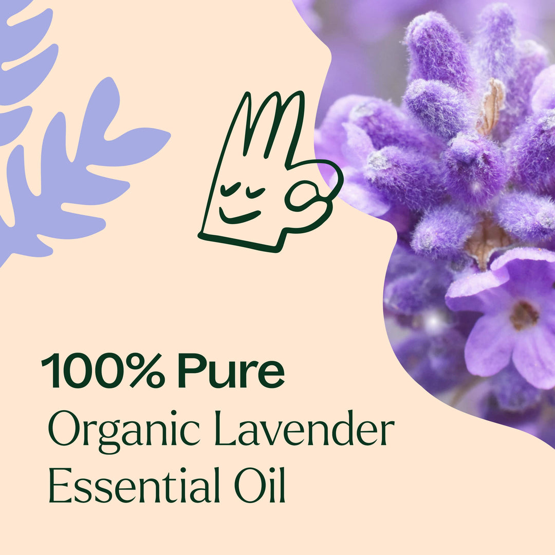 lavender plant oil Plant Therapy Lavender Organic Essential Oil 30 ml