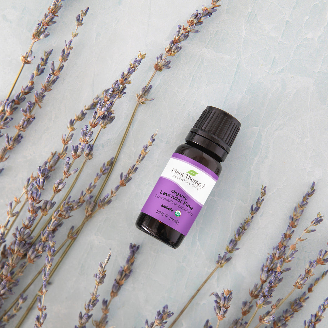 organic lavender plants Organic Lavender Fine Essential Oil 30 ml