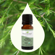 Plant Therapy Organic Tea Tree Essential Oil