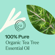 Plant Therapy Organic Tea Tree Essential Oil