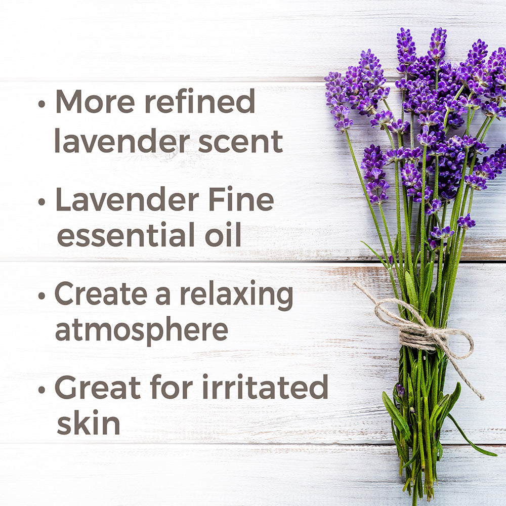 lavender plants benefits Organic Lavender Fine Essential Oil 30 ml