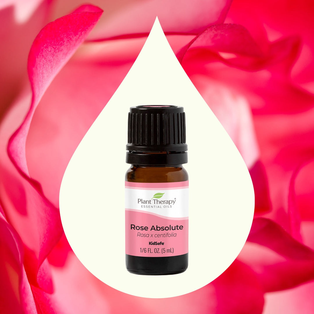 Plant Therapy Rose Absolute Essential Oil | Natural Linens