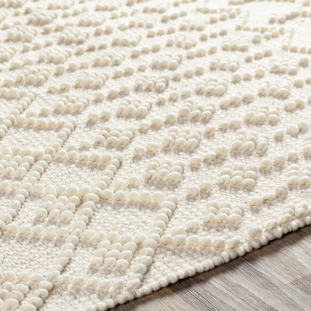 Boutique Rugs Brothers Beige Wool & Cotton Rug