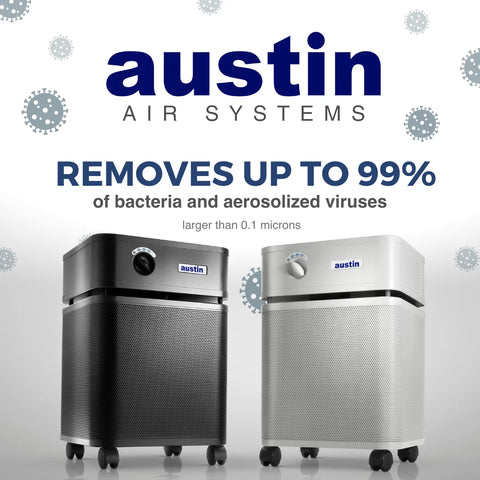 Austin Air HealthMate Standard - Natural Linens