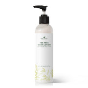 Plant Therapy Tea Tree Body Lotion with Aloe and Shea