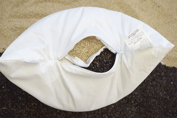 Bean Products WheatDreamz Organic Multi-Grain Pillows - Natural Linens