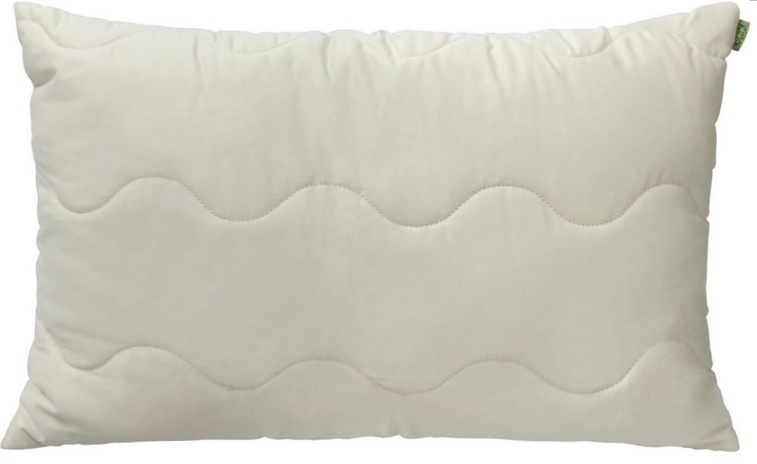 Nature's dreams pillow outlet