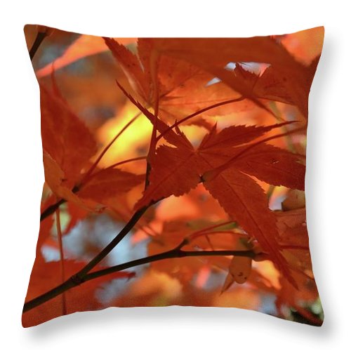 EarthWise Designs Autumn I - Throw Pillow