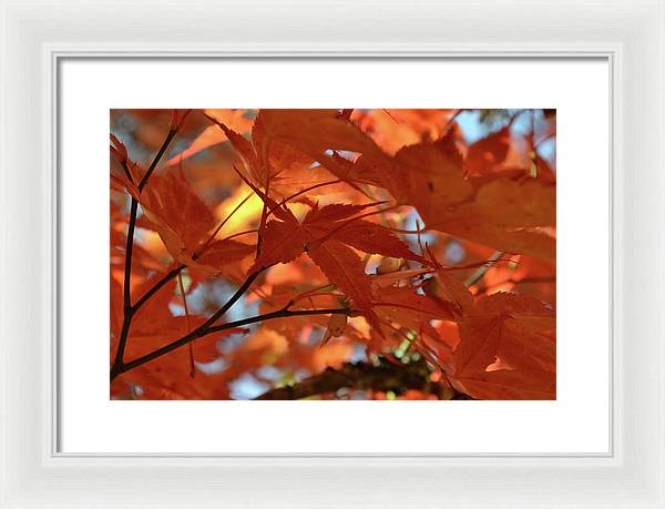 EarthWise Designs Autumn I - Framed Print