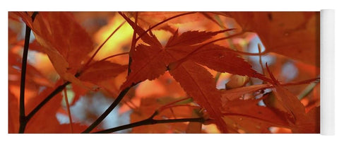EarthWise Designs Autumn I - Yoga Mat