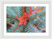 EarthWise Designs Autumn II - Framed Print