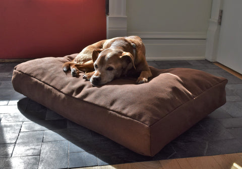 Bean Products Premium Hemp Dog Bed - Latex Filling - Natural Linens