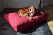 Bean Products Premium Hemp Dog Bed - Latex Filling - Natural Linens