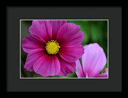 EarthWise Designs Cosmos I - Framed Print