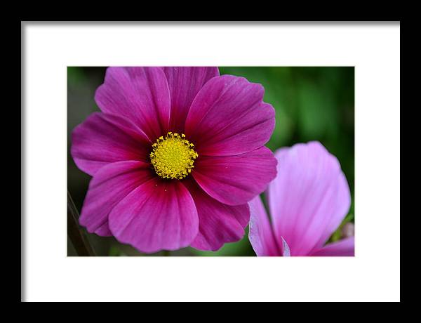 EarthWise Designs Cosmos I - Framed Print