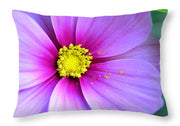 EarthWise Designs Cosmos II - Throw Pillow