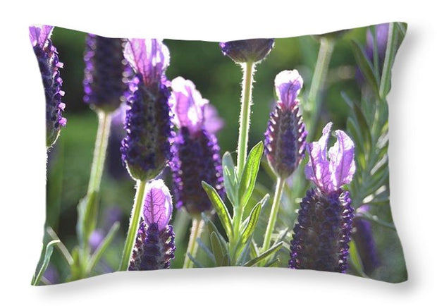 EarthWise Designs Lavender II - Throw Pillow