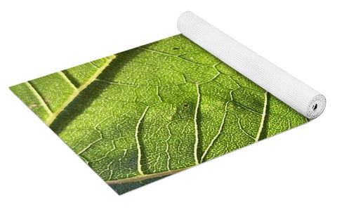 EarthWise Designs Leaf I - Yoga Mat