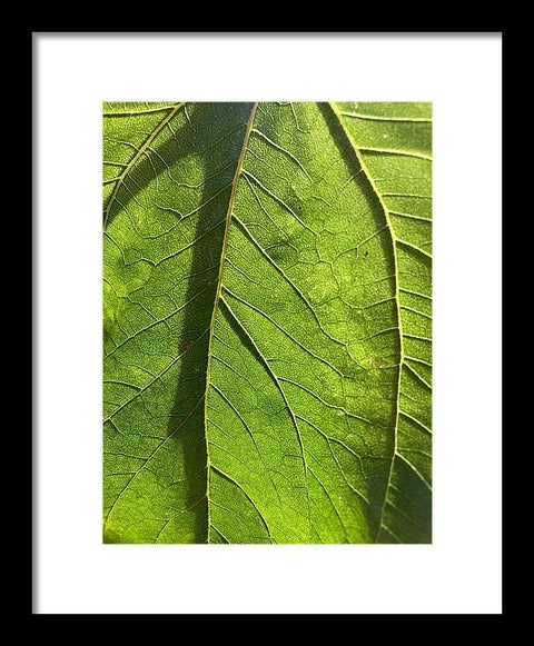 EarthWise Designs Leaf I - Framed Print