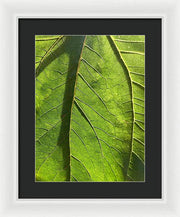 EarthWise Designs Leaf I - Framed Print