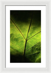 EarthWise Designs Leaf II - Framed Print