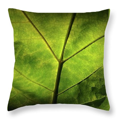 EarthWise Designs Leaf II - Throw Pillow