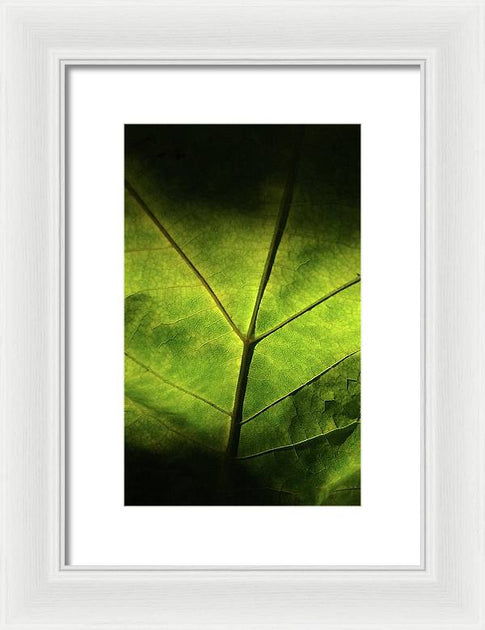 EarthWise Designs Leaf II - Framed Print | Natural Linens