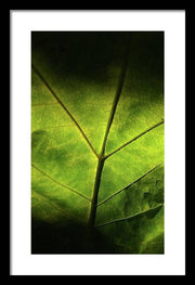 EarthWise Designs Leaf II - Framed Print