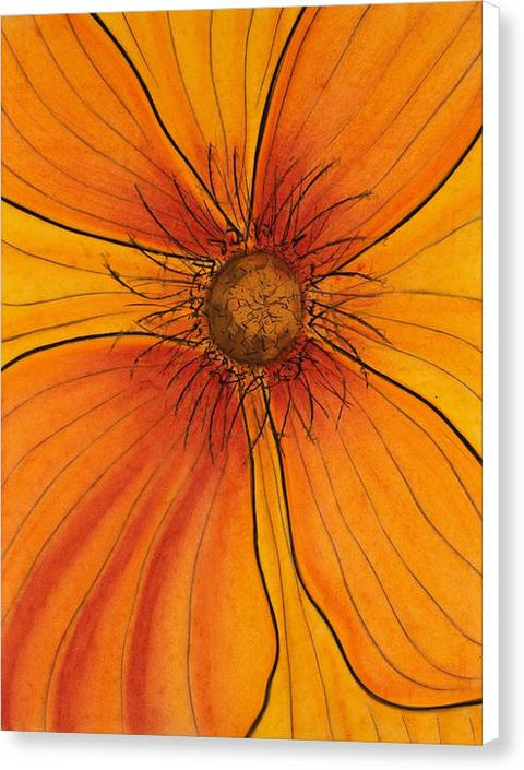 EarthWise Designs Orange Glow - Canvas Print