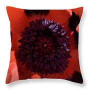 EarthWise Designs Poppy I - Throw Pillow