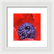 EarthWise Designs Poppy II - Framed Print