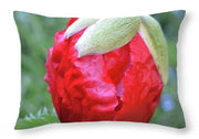 EarthWise Designs Poppy III - Throw Pillow