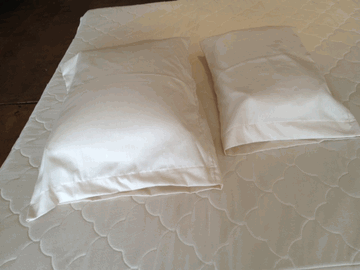 Sachi Organics Rejuvenation Cotton Pillow Cover - Natural Linens