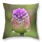 EarthWise Designs Spring Rain - Throw Pillow