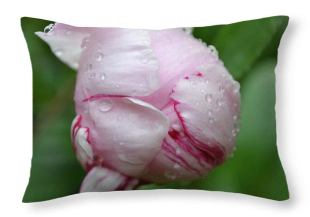 EarthWise Designs Spring Rain II - Throw Pillow