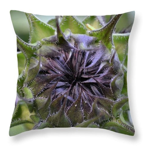 EarthWise Designs Sunflower I - Throw Pillow