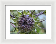 EarthWise Designs Sunflower I - Framed Print
