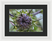EarthWise Designs Sunflower I - Framed Print