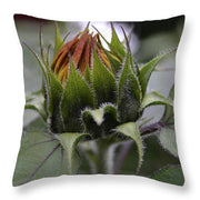 EarthWise Designs Sunflower II - Throw Pillow