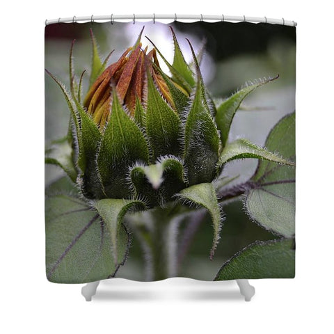 Sunflower II - Shower Curtain